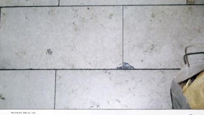 Beetle - Floor Crack