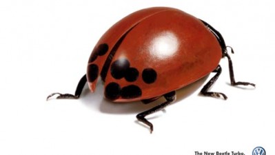 Beetle - TURBO