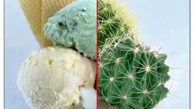 Strepsils - Inghetata cactus