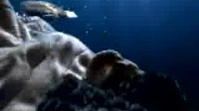 Indesit - Underwater World