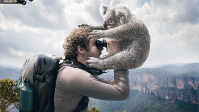 Olympus Binoculars - Koala.jpg