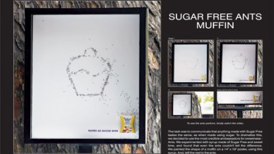 Sugar Free - Ants Muffin