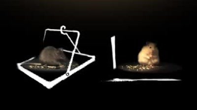 Salvador-D PR agency - Mice vs Hamsters
