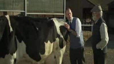 3 Mobile - T-Mobile Cow spoof