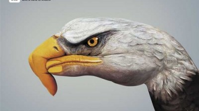 WWF - Eagle