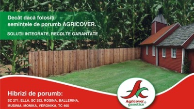 Agricover Genetics - Porumb