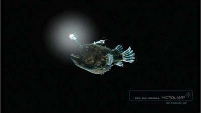 Microlamp exotic light bulbs - Fish