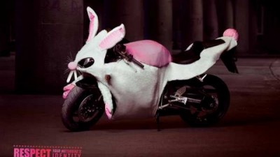 Honda - Bunny
