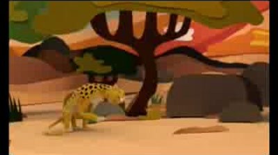 Temaiken Wild Animal Park - Cheetah