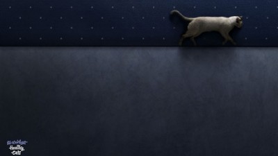 Whiskas - Sleeping Cats (II)