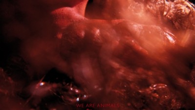 Wrangler - We are animals - Red (41)