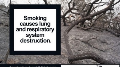 National No Smoking Day - Tree