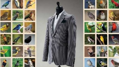 Harvey Nichols - Birds