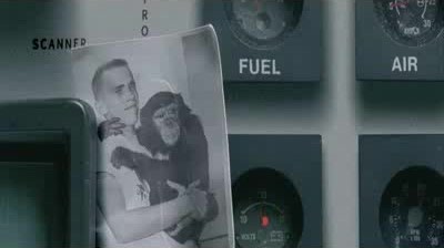 WWF - Monkey