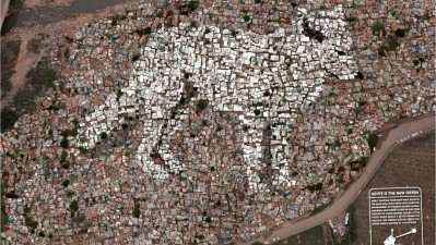 Greenpeace - White Roofs, Arctic Fox