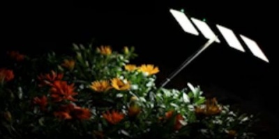 Ecranul luminos al telefonului SONY Xperia arc poate face sa creasca o floare. Asa, si?