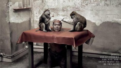 Humans for Animals - Monkeys