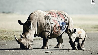 WWF Biodiversity awareness - Rhinos
