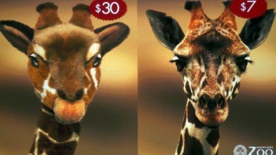 Buenos Aires Zoo - Get much more for much less