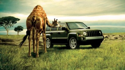 Jeep - Giraffe
