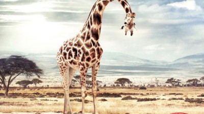 Plasticina - Giraffe