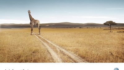 Volkswagen Crossfox - Giraffe