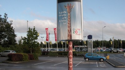 Chester Zoo - Giraffe