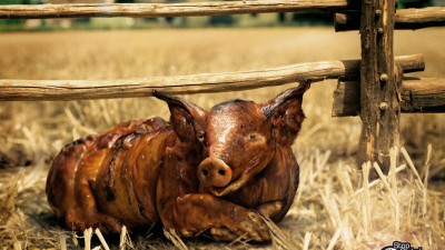 Stop Global Warming - Pig