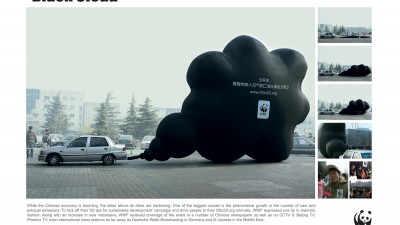 WWF - Black cloud