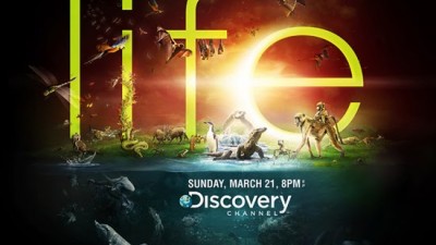 Discovery Channel - Life