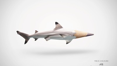 Fabercastell Truecolours - Shark