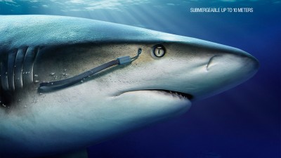 Panasonic - Shark