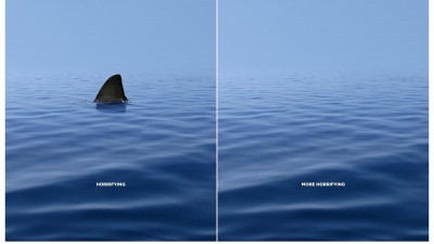 WWF - Shark
