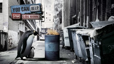 WWF - Homeless penguin