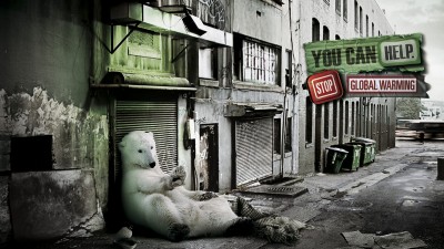 WWF - Homeless polar bear