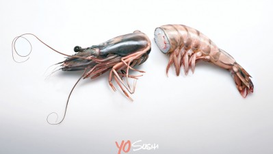 Yo Sushi Restaurants - Prawn