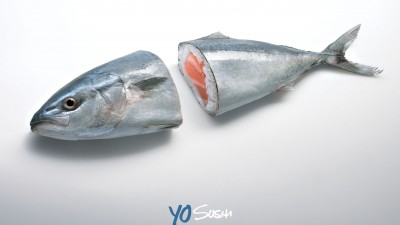 Yo Sushi Restaurants - Tuna