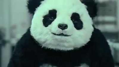 Panda Cheese - Never say no to a panda