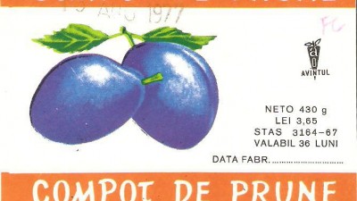 Avintul - Compot de prune