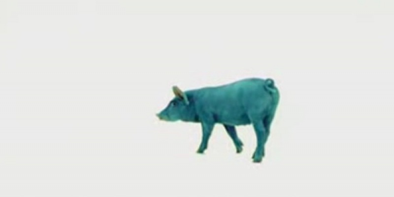 La 100 de ani de existenta a brand-ului, Antrefrig relanseaza campania "Porcul Albastru"
