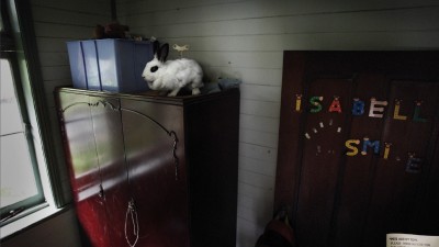 RSPCA - Rabbit