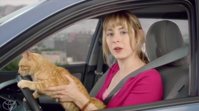 Toyota RAV4 - Cat videos!