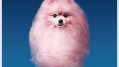 Vitakraft For You Beauty Shampoo - Sweet pink dog