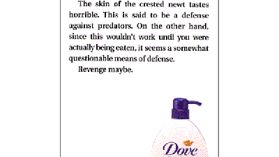 Dove - Skin fact no 28