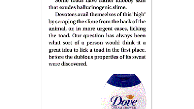 Dove - Skin fact no 37