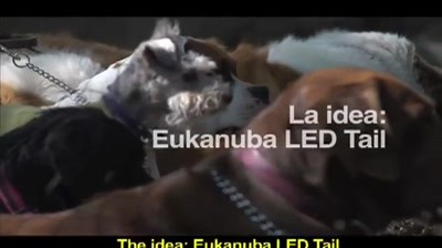 Eukanuba - Tail Advertising