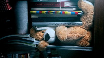 City Self Storage - Teddy Bear