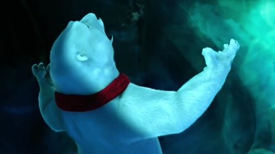 Coca-Cola - Polar Bears watching Super Bowl: Arghh
