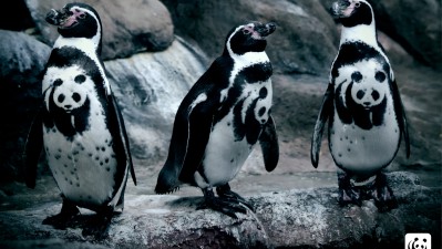 WWF - Penguin
