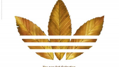 Adidas - Fall collection